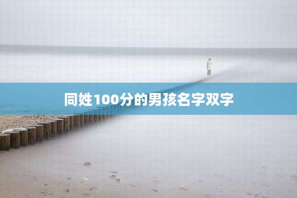 同姓100分的男孩名字双字