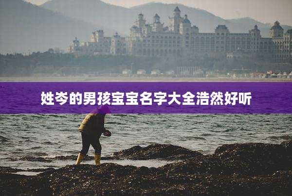 姓岑的男孩宝宝名字大全浩然好听