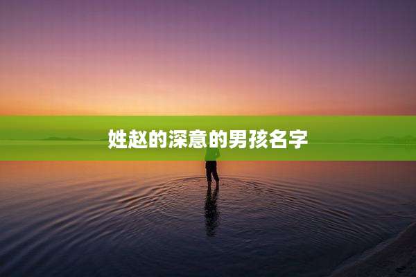 姓赵的深意的男孩名字