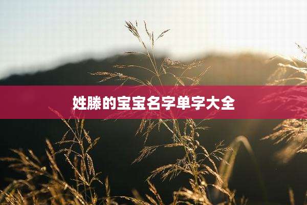 姓滕的宝宝名字单字大全