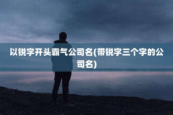 以锐字开头霸气公司名(带锐字三个字的公司名)