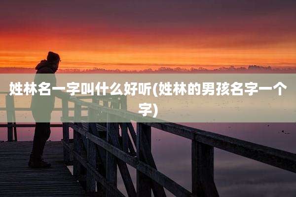 姓林名一字叫什么好听(姓林的男孩名字一个字)