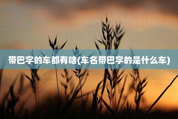 带巴字的车都有啥(车名带巴字的是什么车)