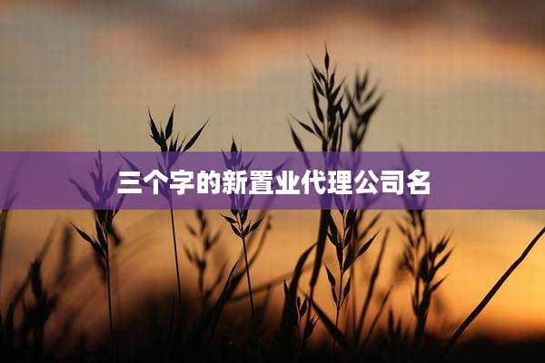 三个字的新置业代理公司名