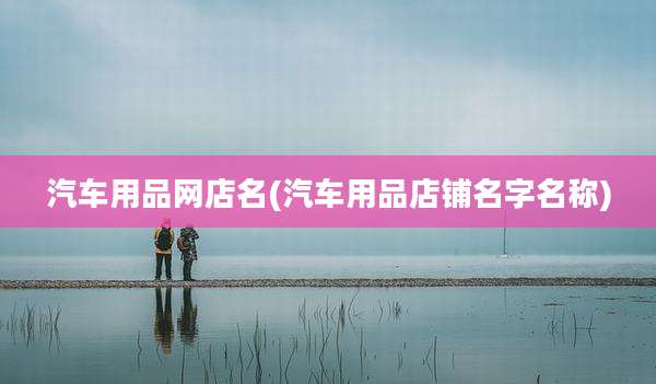 汽车用品网店名(汽车用品店铺名字名称)