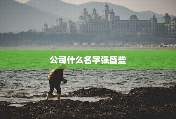 公司什么名字强盛些