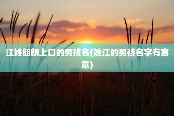 江姓朗朗上口的男孩名(姓江的男孩名字有寓意)