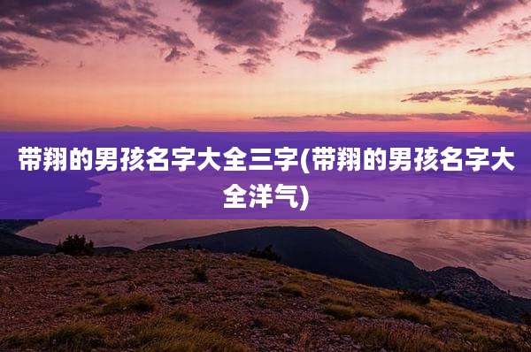带翔的男孩名字大全三字(带翔的男孩名字大全洋气)