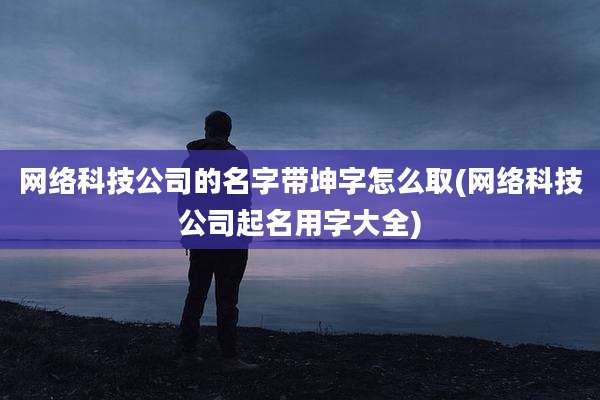 网络科技公司的名字带坤字怎么取(网络科技公司起名用字大全)