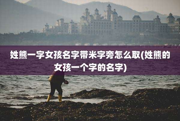 姓熊一字女孩名字带米字旁怎么取(姓熊的女孩一个字的名字)