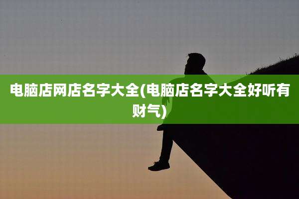 电脑店网店名字大全(电脑店名字大全好听有财气)