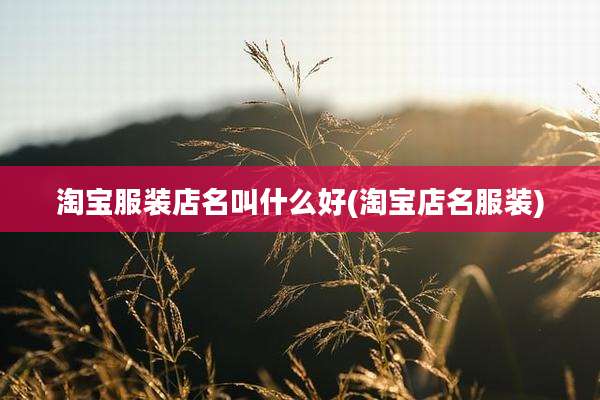 淘宝服装店名叫什么好(淘宝店名服装)