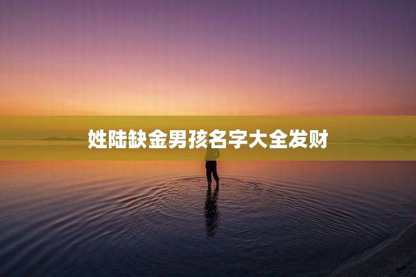 姓陆缺金男孩名字大全发财