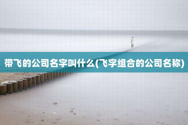 带飞的公司名字叫什么(飞字组合的公司名称)