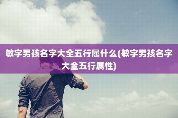 敏字男孩名字大全五行属什么(敏字男孩名字大全五行属性)
