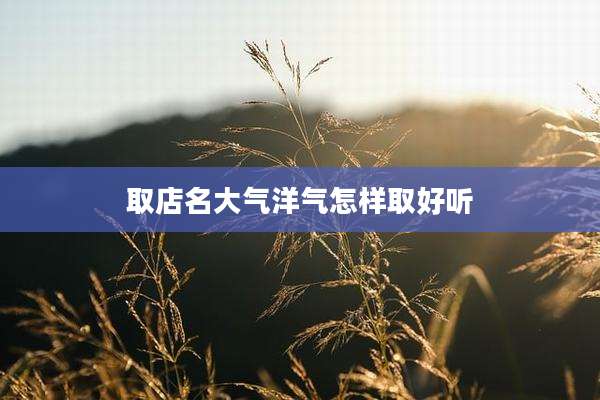 取店名大气洋气怎样取好听
