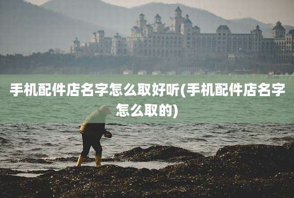 手机配件店名字怎么取好听(手机配件店名字怎么取的)