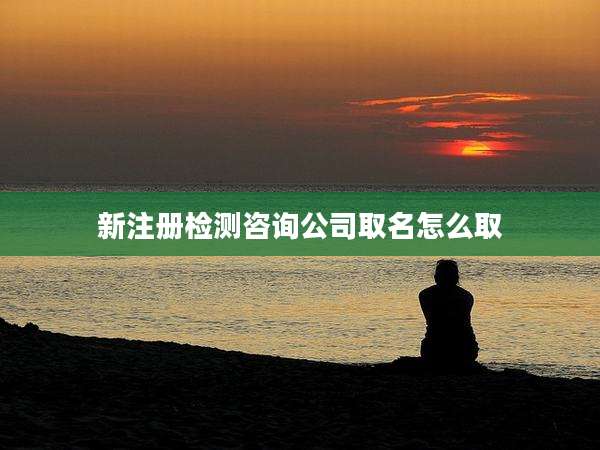 新注册检测咨询公司取名怎么取