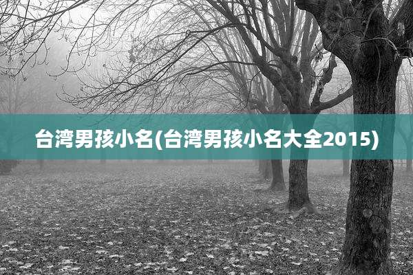 台湾男孩小名(台湾男孩小名大全2015)