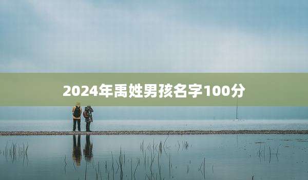 2024年禹姓男孩名字100分