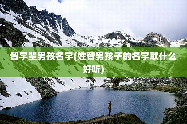 智字辈男孩名字(姓智男孩子的名字取什么好听)