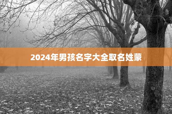 2024年男孩名字大全取名姓蒙