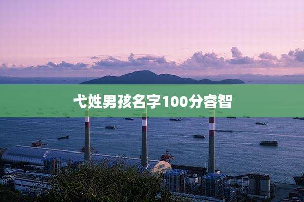 弋姓男孩名字100分睿智