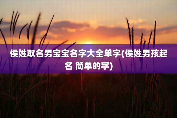 侯姓取名男宝宝名字大全单字(侯姓男孩起名 简单的字)