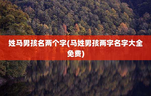 姓马男孩名两个字(马姓男孩两字名字大全免费)