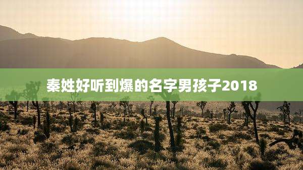 秦姓好听到爆的名字男孩子2018
