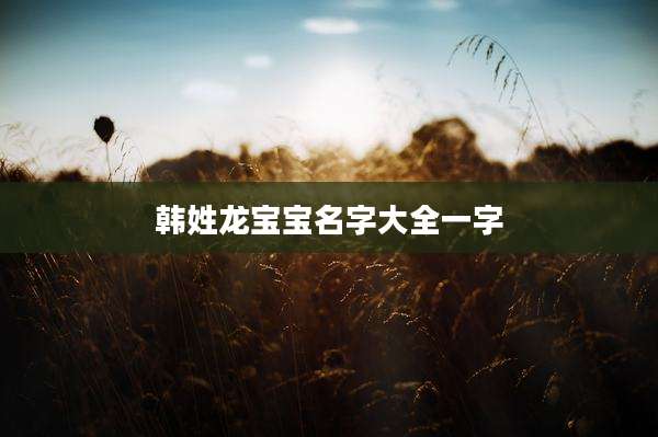 韩姓龙宝宝名字大全一字