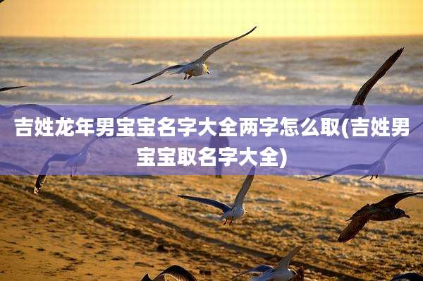 吉姓龙年男宝宝名字大全两字怎么取(吉姓男宝宝取名字大全)