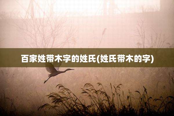 百家姓带木字的姓氏(姓氏带木的字)