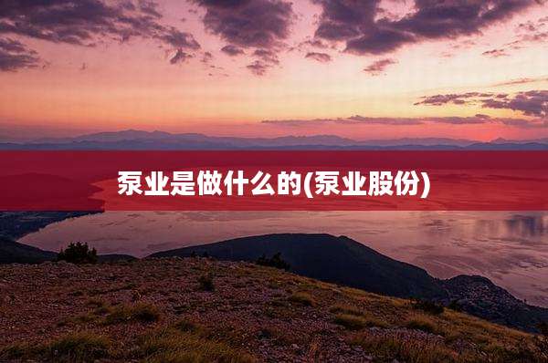 泵业是做什么的(泵业股份)
