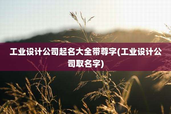 工业设计公司起名大全带尊字(工业设计公司取名字)