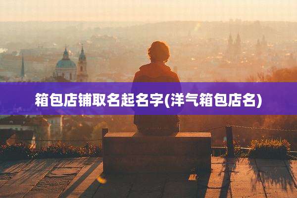 箱包店铺取名起名字(洋气箱包店名)