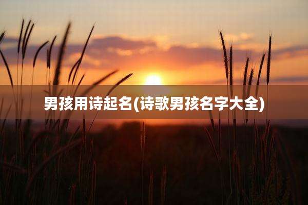 男孩用诗起名(诗歌男孩名字大全)