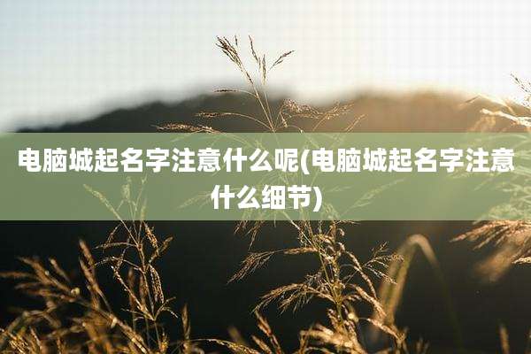 电脑城起名字注意什么呢(电脑城起名字注意什么细节)