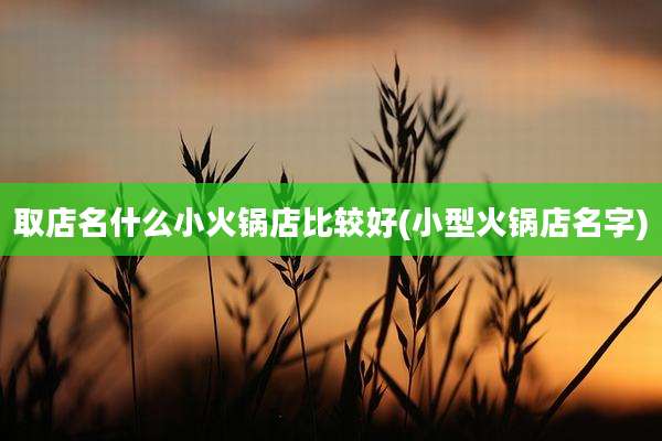 取店名什么小火锅店比较好(小型火锅店名字)