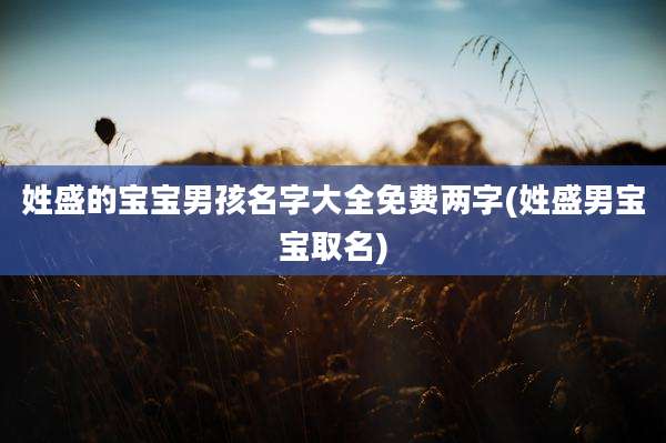 姓盛的宝宝男孩名字大全免费两字(姓盛男宝宝取名)