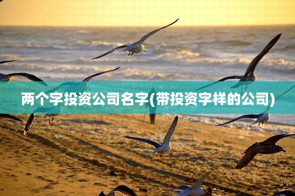 两个字投资公司名字(带投资字样的公司)