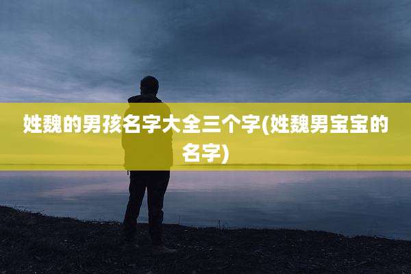 姓魏的男孩名字大全三个字(姓魏男宝宝的名字)