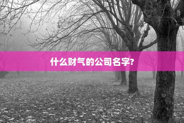 什么财气的公司名字?