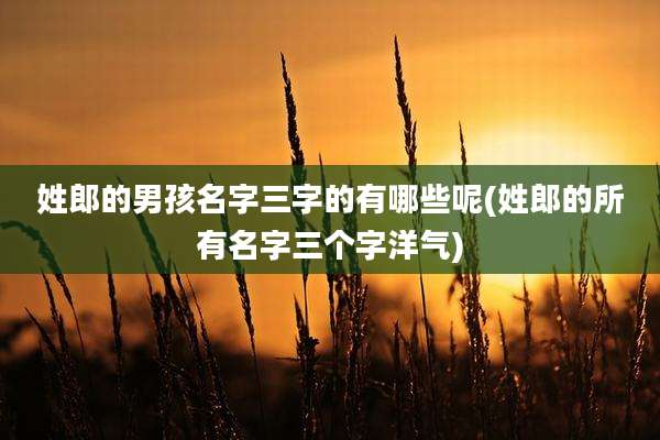 姓郎的男孩名字三字的有哪些呢(姓郎的所有名字三个字洋气)