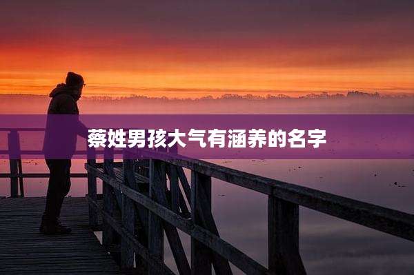 蔡姓男孩大气有涵养的名字