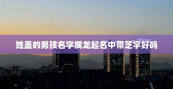 姓盖的男孩名字属龙起名中带芝字好吗