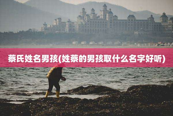蔡氏姓名男孩(姓蔡的男孩取什么名字好听)