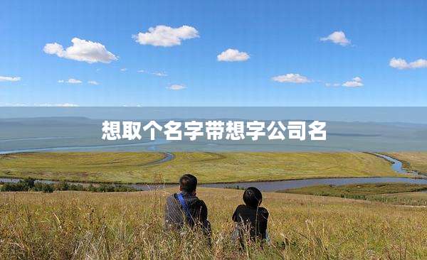 想取个名字带想字公司名