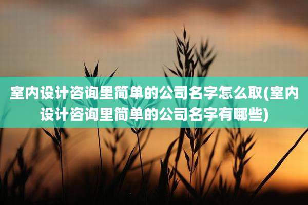 室内设计咨询里简单的公司名字怎么取(室内设计咨询里简单的公司名字有哪些)