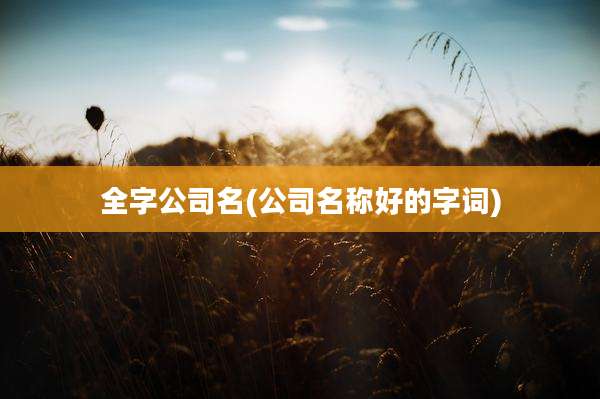 全字公司名(公司名称好的字词)